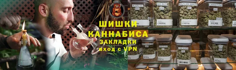 купить наркоту  МЕГА ONION  Шишки марихуана THC 21%  Курчалой 